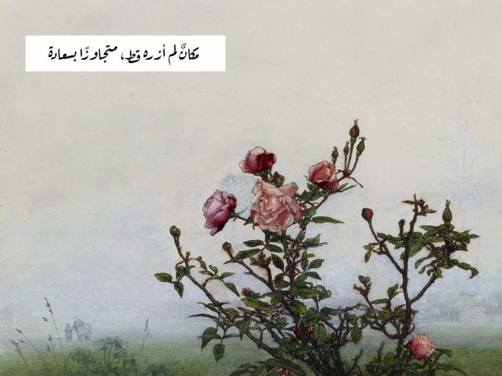 مكانٌ لم أزره&nbsp;قط