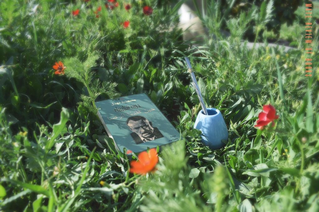 حين فقدنا الرضا