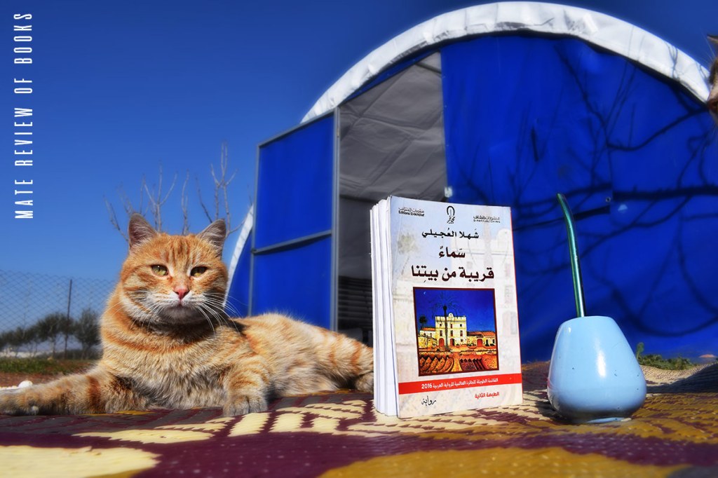 ماذا تريد شهلا من هذه&nbsp;الرواية؟