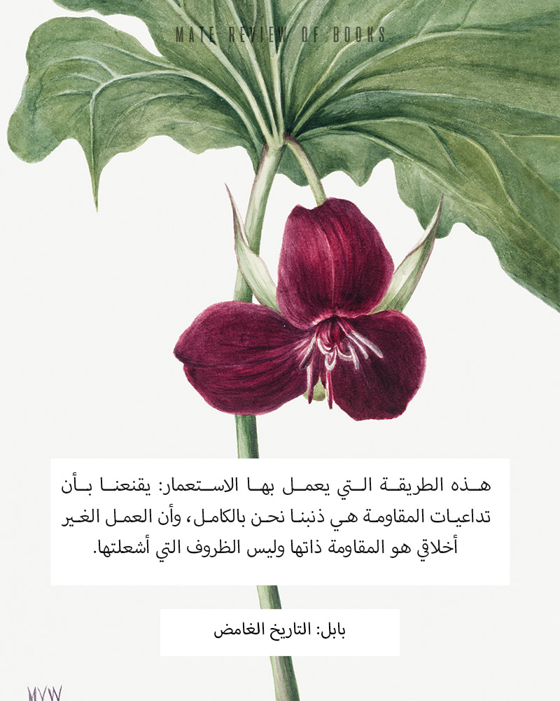 اقتباس من رواية بابل تاريخ غامض كوانغ