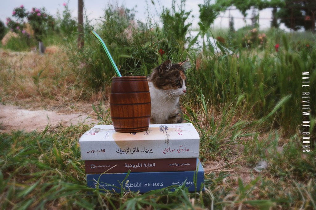 من أين أبدأ مع&nbsp;موراكامي