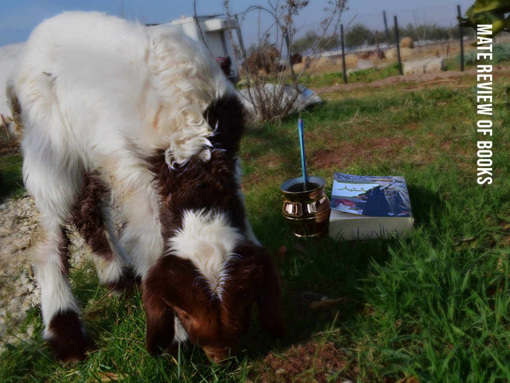 سياسة الهوية