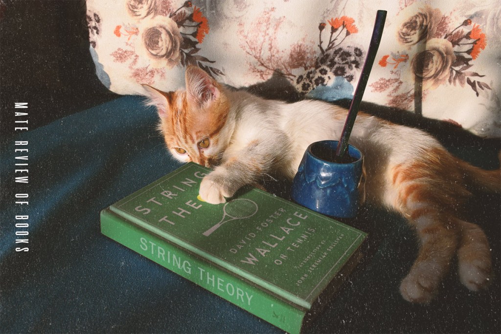 دفاعاً عن نظرية&nbsp;الأوتار